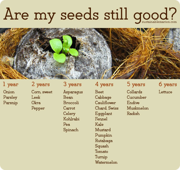 Female Seed Chart